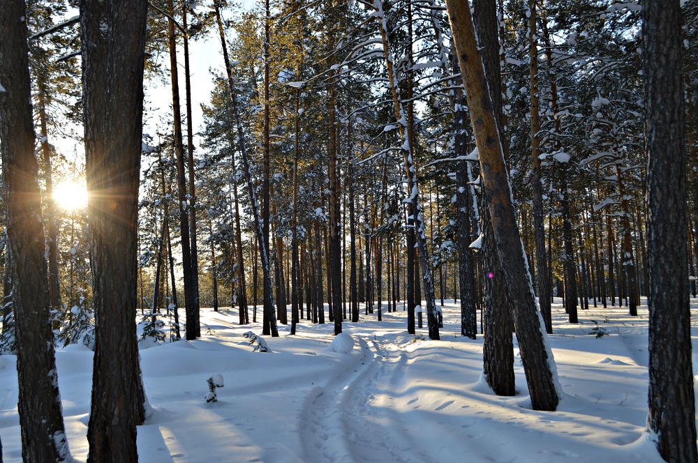 Морозная Сибирь