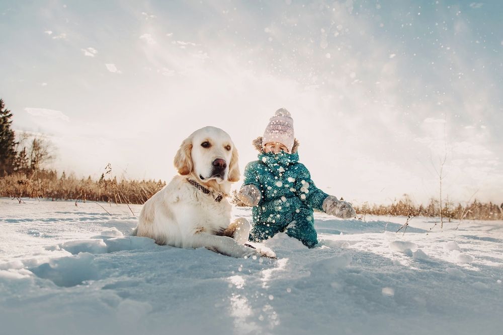 Photograph by Никитина Анна