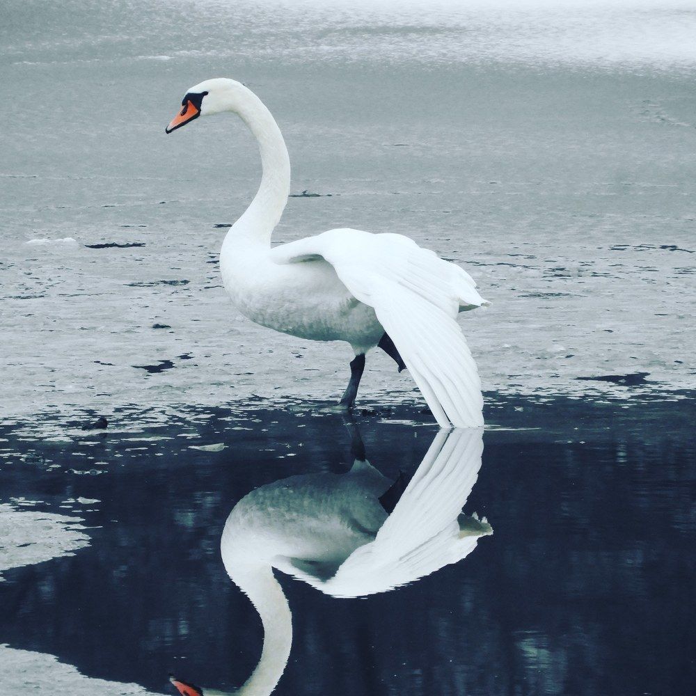 Фотография автора Vitalii Neborak