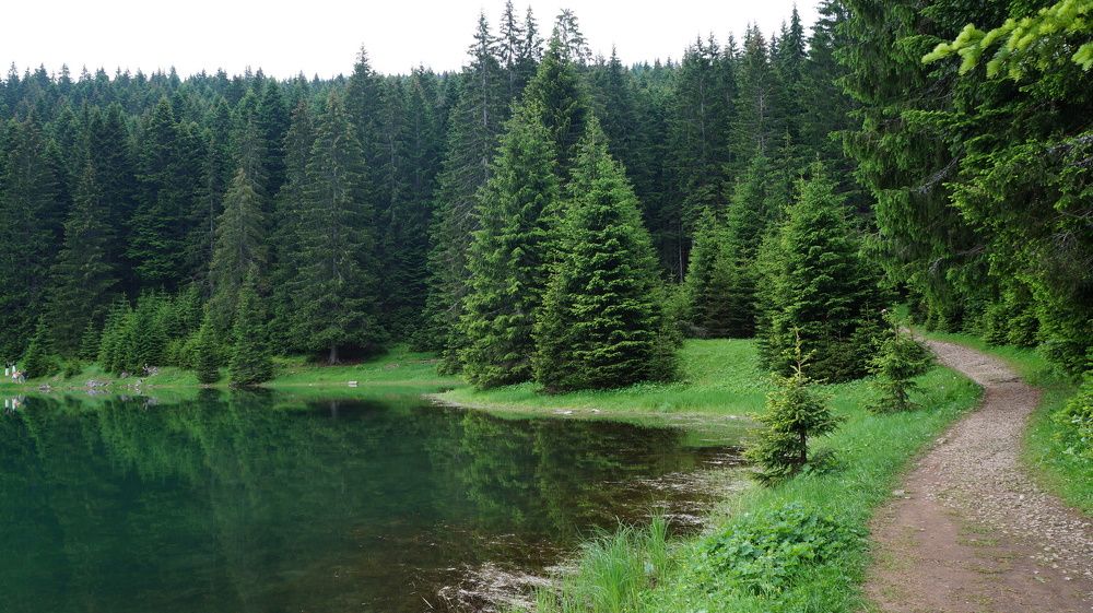 Берег Черного озера