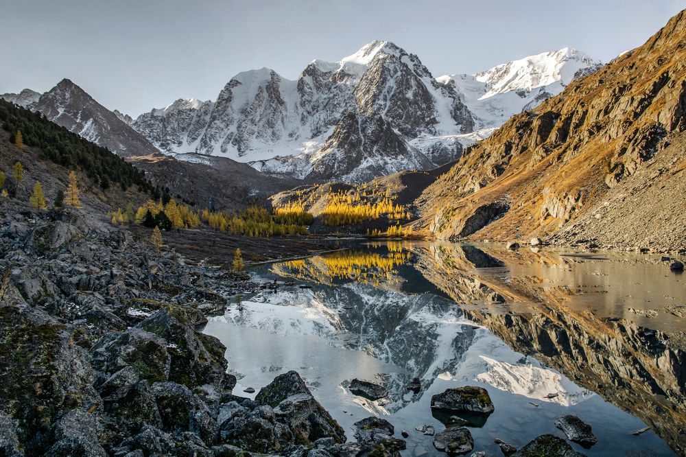 застывшее мгновение утра