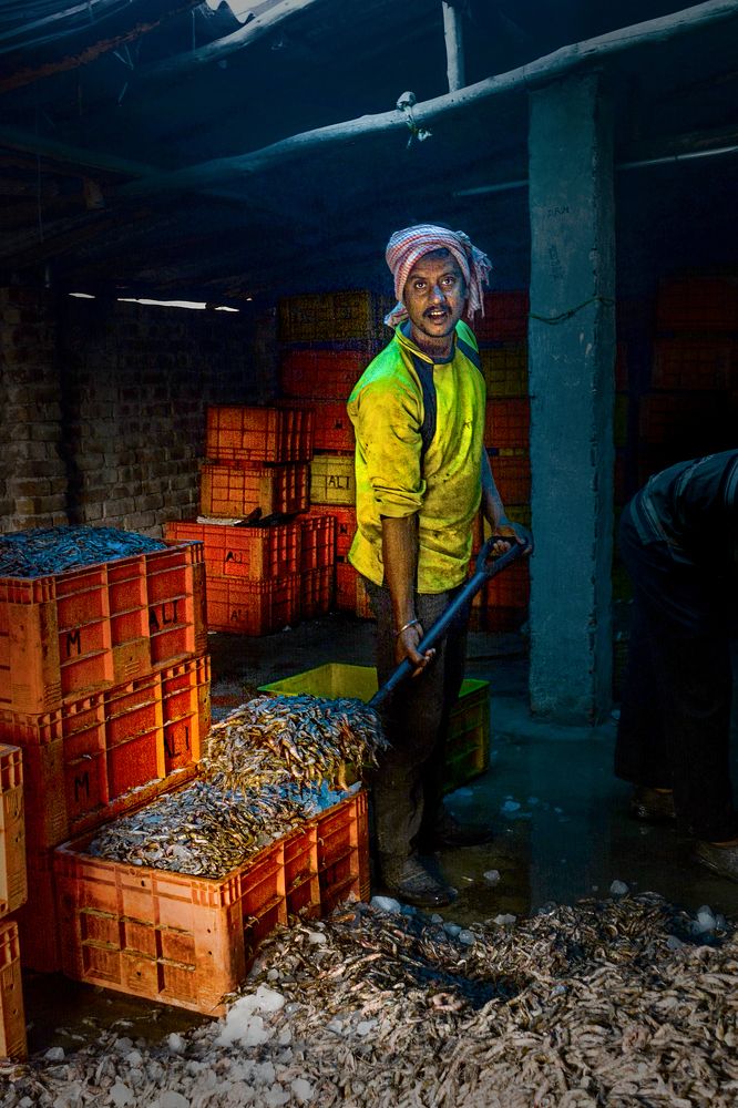 MAN AT WORK FISH GODOWN