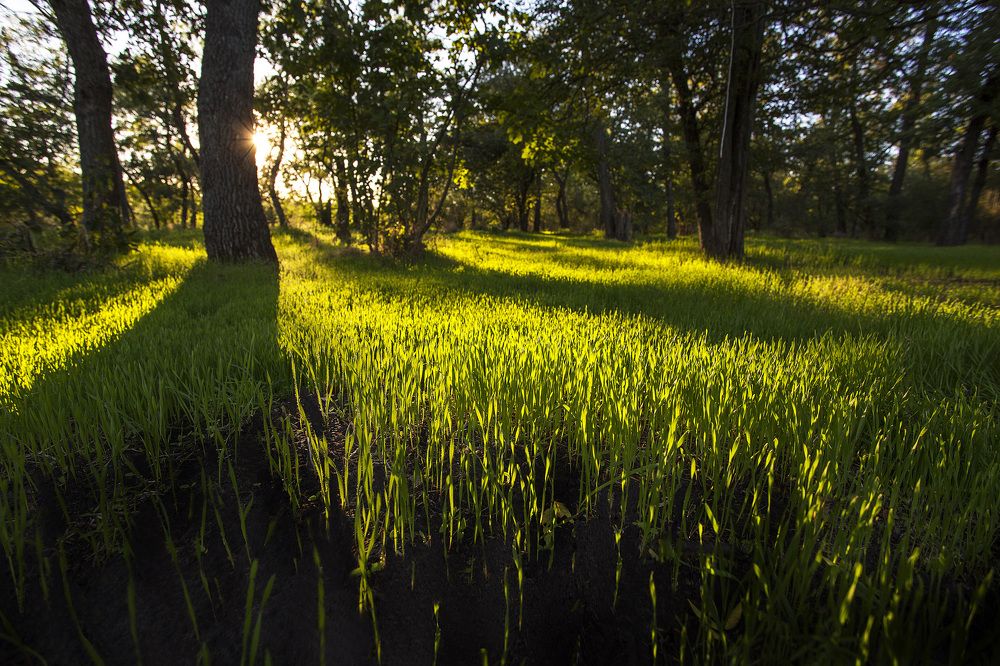 Хортица. Остров легенд и преданий.