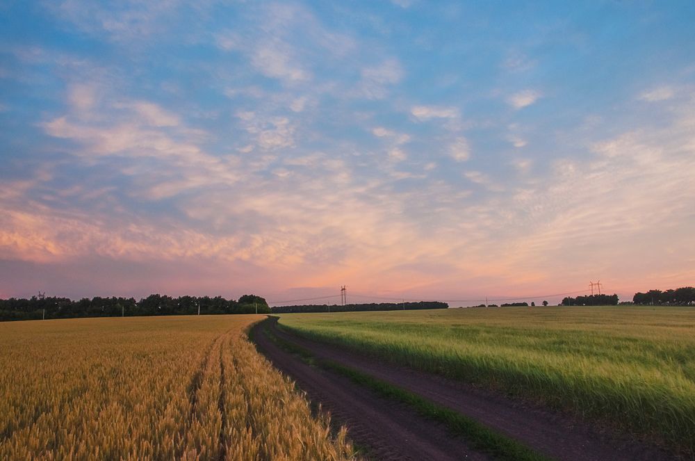 Дорога на закат