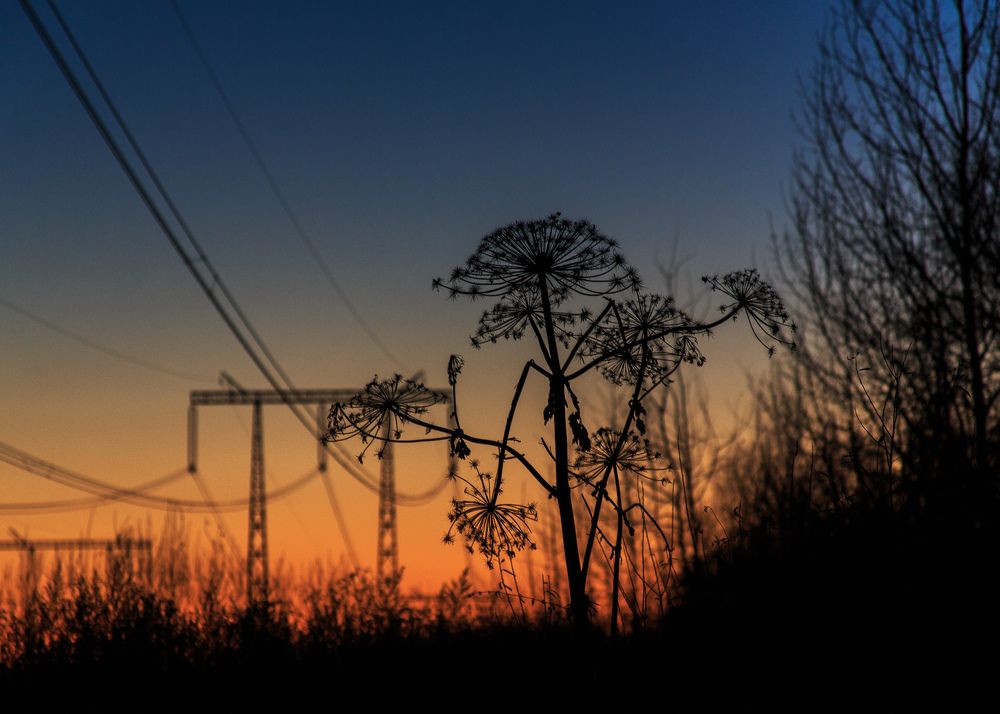 Параллельность бытия