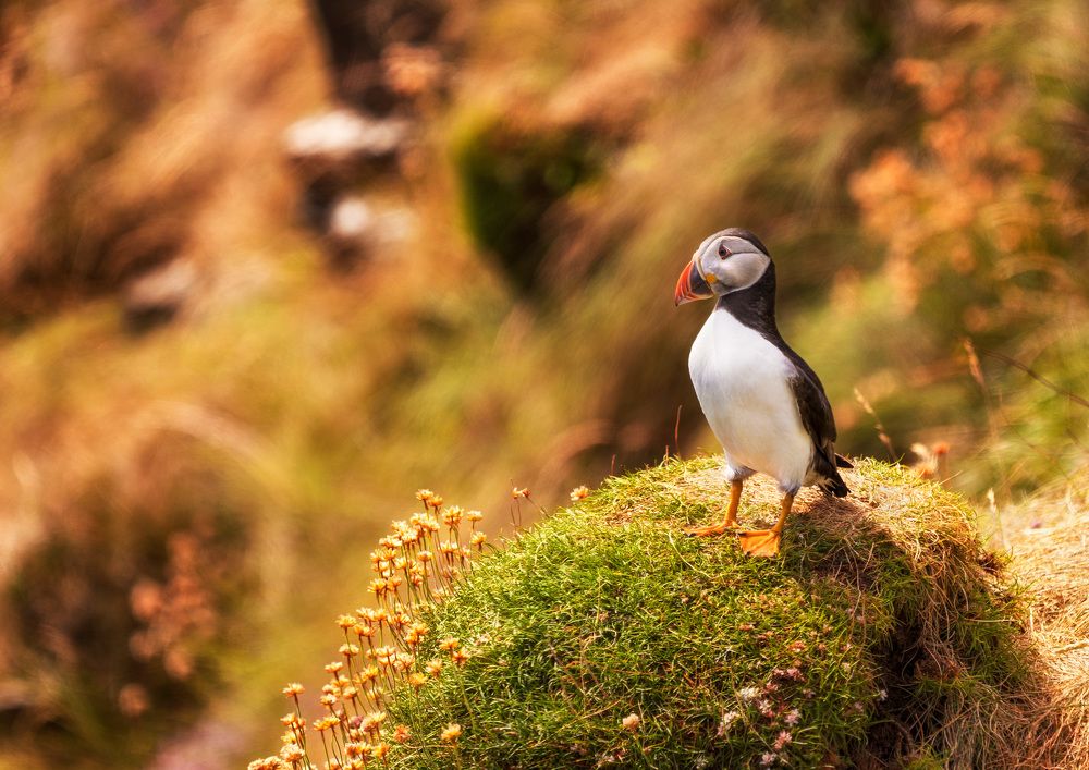 Когда ты придёшь