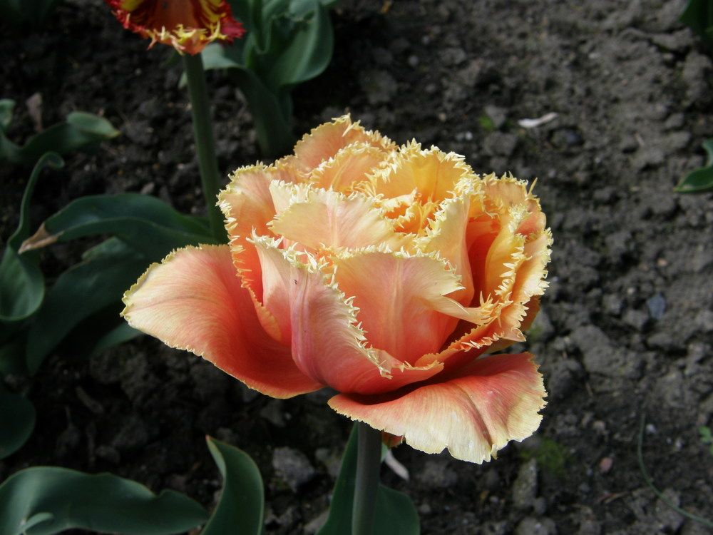 Photograph by Katarzyna Berić