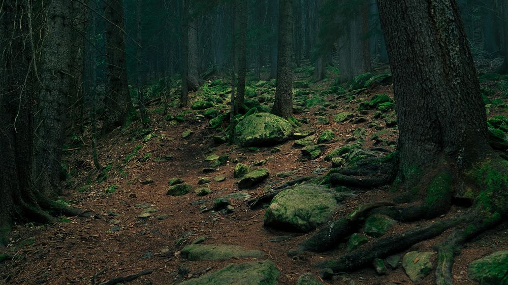 Фотография автора Руслан Комаров