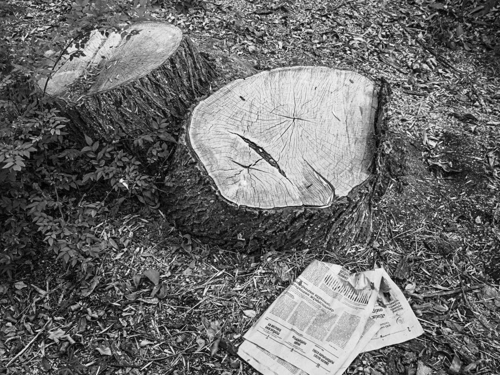 По чем газетка?