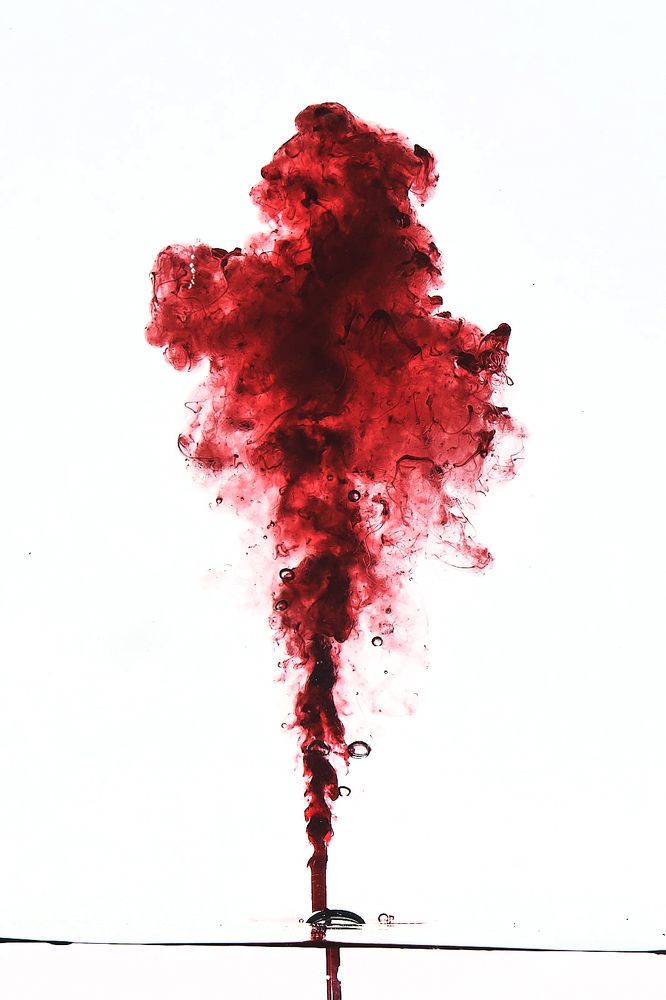 Photograph by Алексей Зеленин