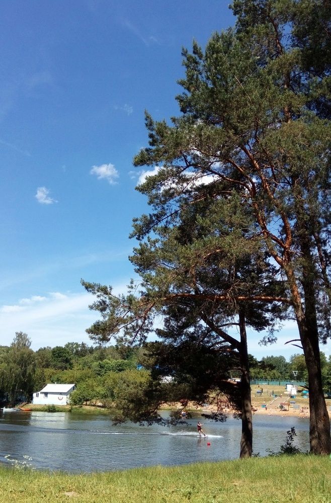 В жаркий день