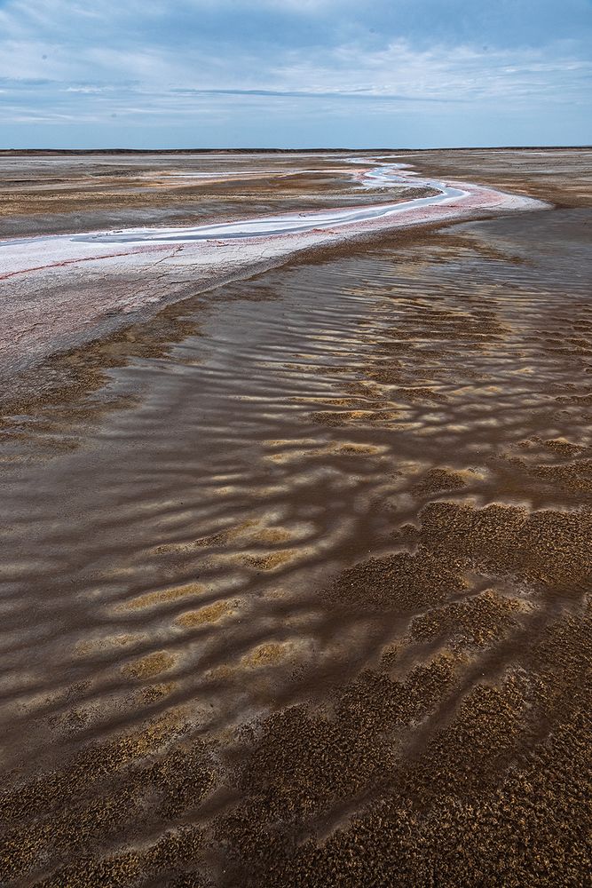 В краю солей