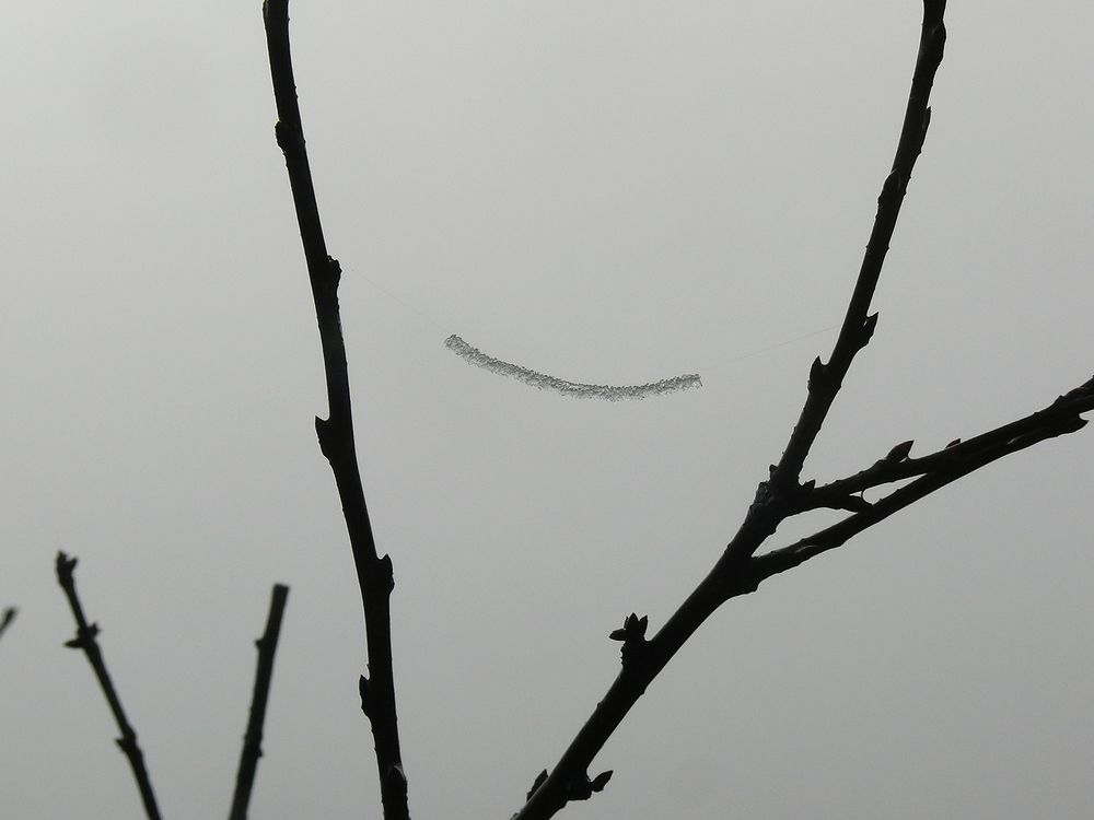 Photograph by Василий