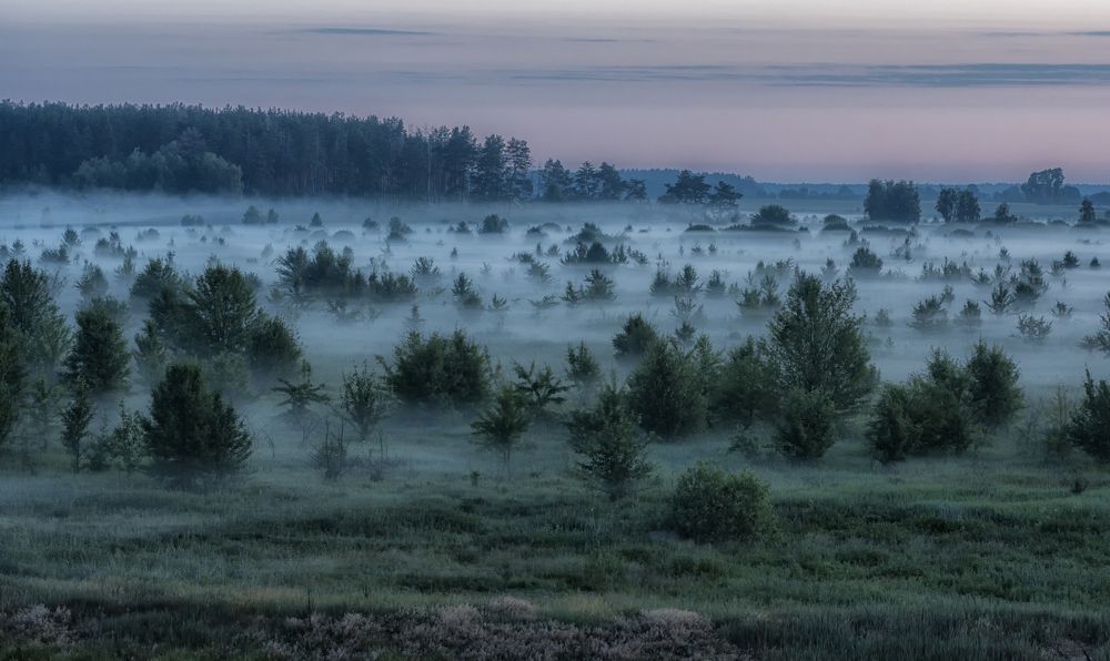 Ой туманы мои...
