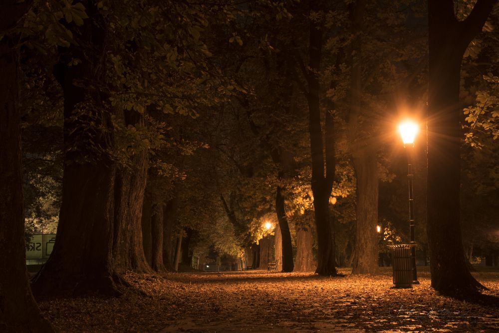 Beautiful park in Osijek