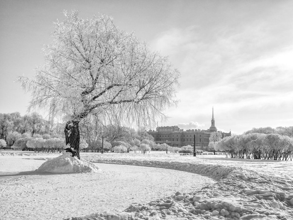 Photograph by Александр Авдушев