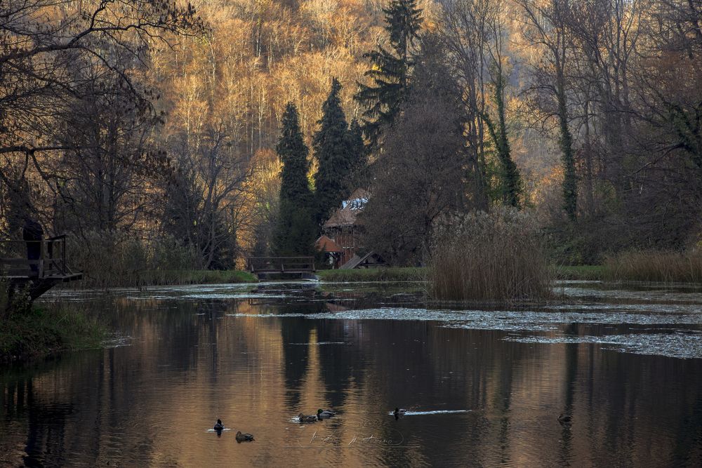 Natur Park Papuk - Croatia