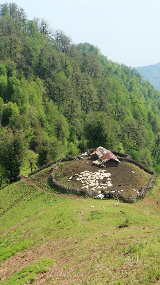 Photograph by Seyed-Sajad Hamedheydari