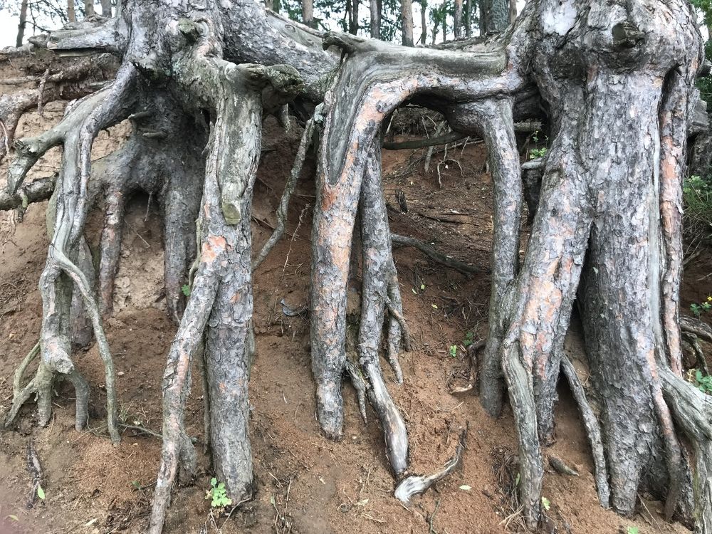 Photograph by Максим Воробьев