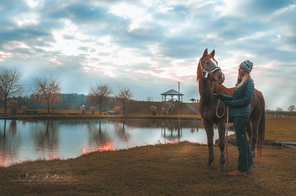love of man and horse