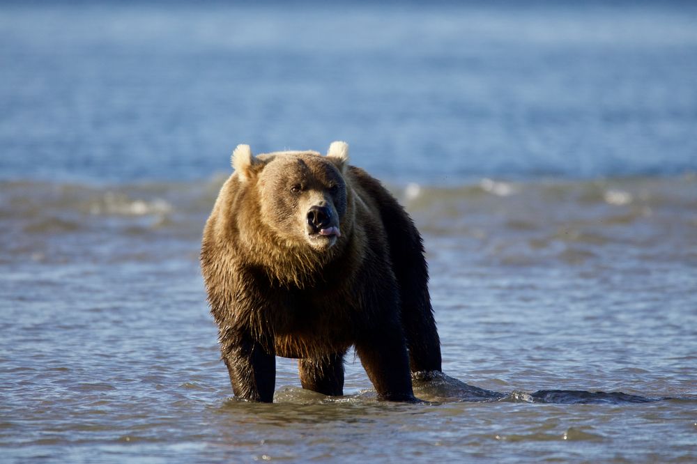 Вот вам, а не фотосессия с рыбкой