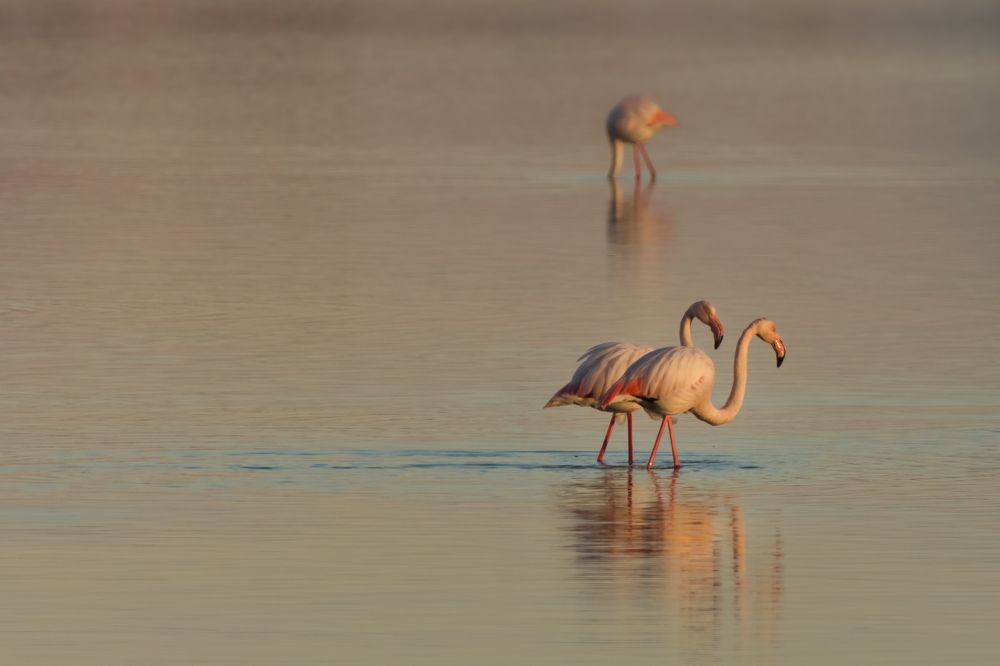 The perfect golden hour!