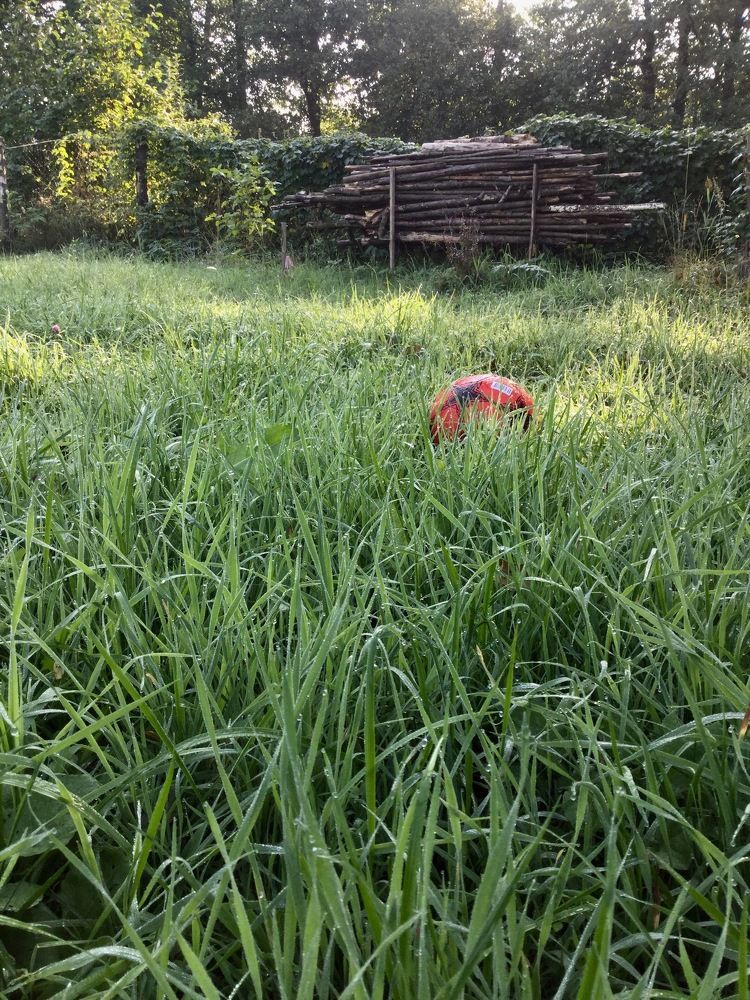 Воспоминания по чемпионату по футболу