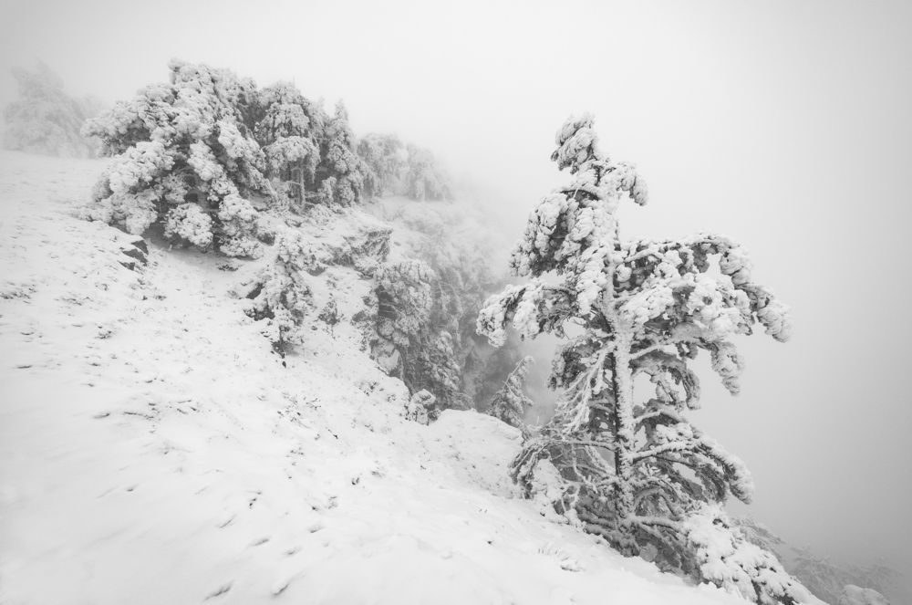 Снежное царство