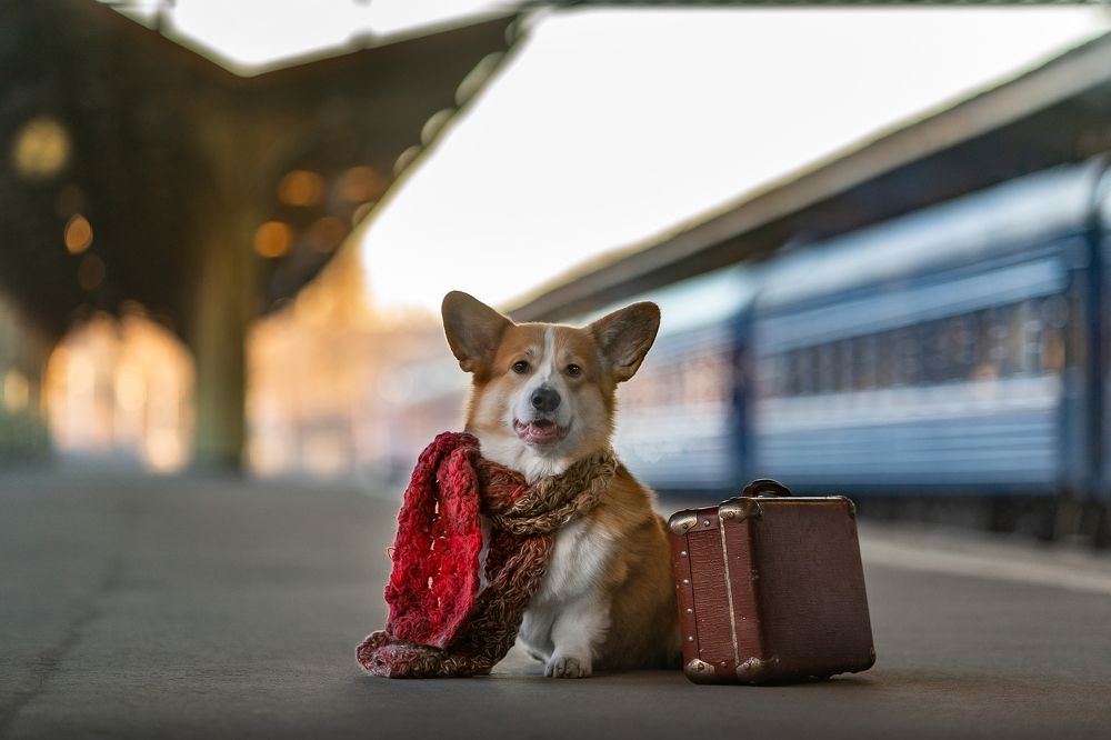 Прощальная...