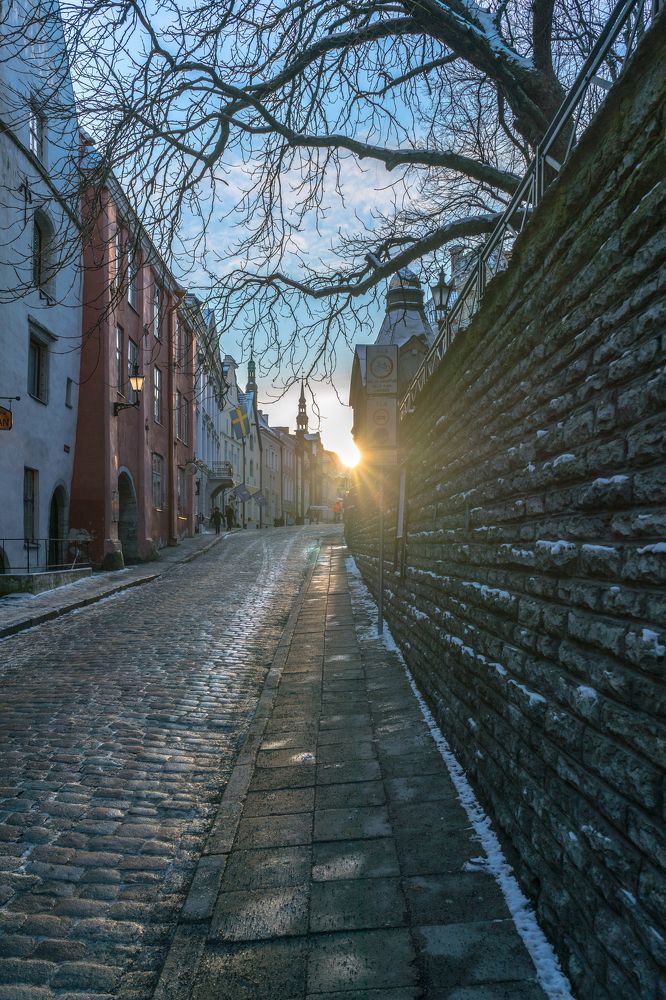 Olevimägi, Tallinn.