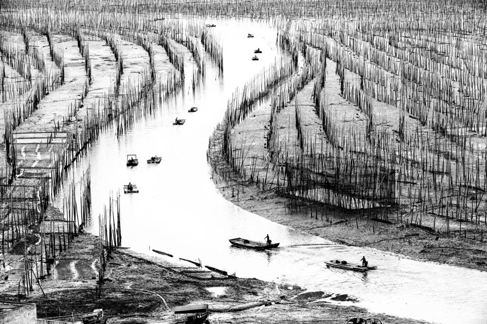 Fishing on the S River By The Sea