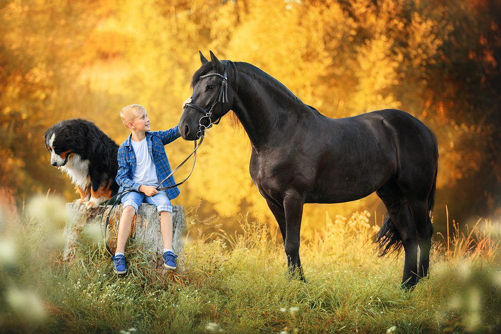 Три товарища