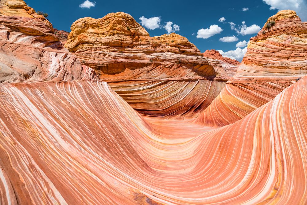 On the Waves of Arizona