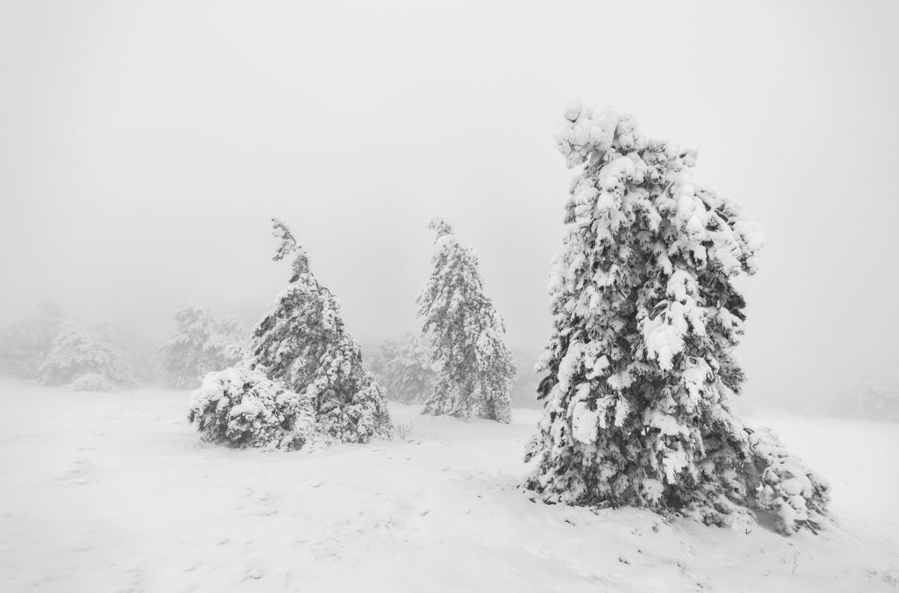 Трое из толпы