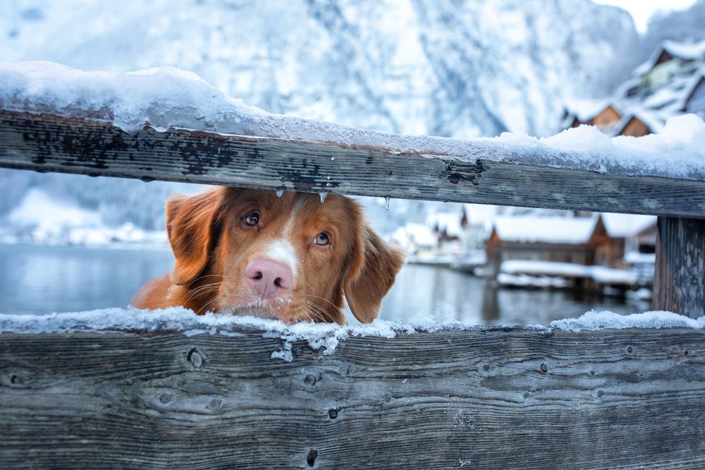Photograph by Анна Аверьянова