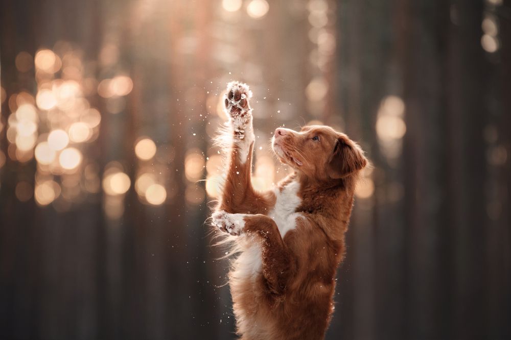 Photograph by Анна Аверьянова