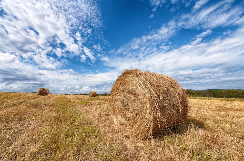Осенне плетение