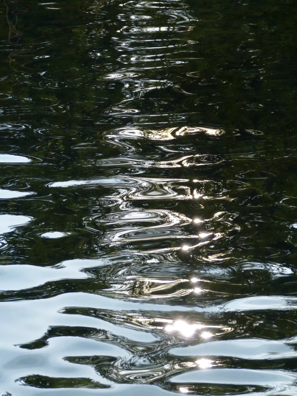 fluid siver