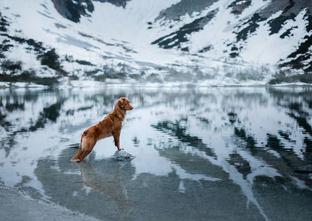 Photograph by Анна Аверьянова