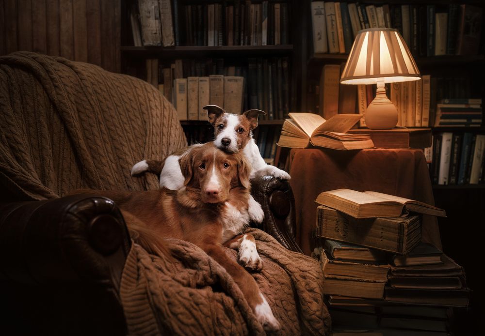 Photograph by Анна Аверьянова