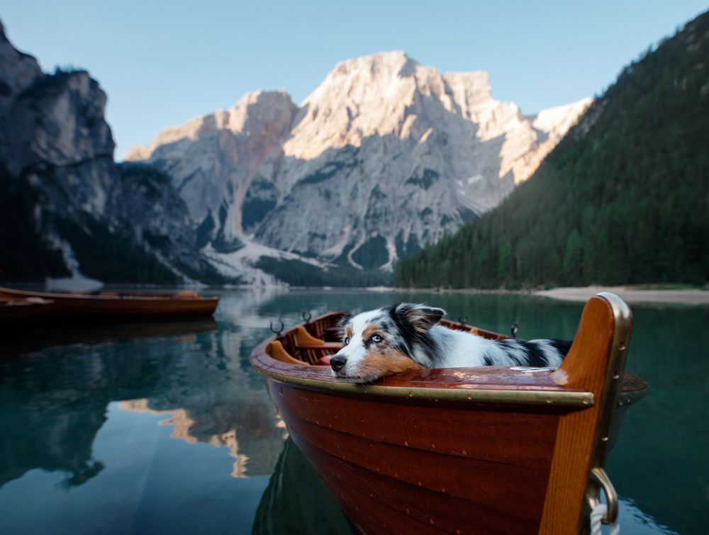 Photograph by Анна Аверьянова