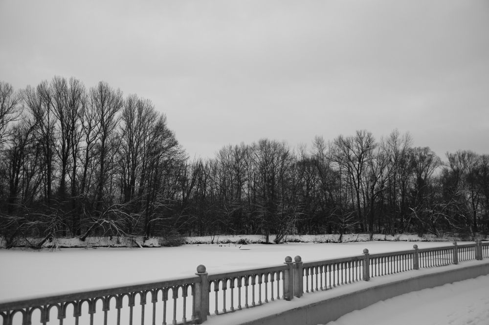 Photograph by Андрей Григорьев