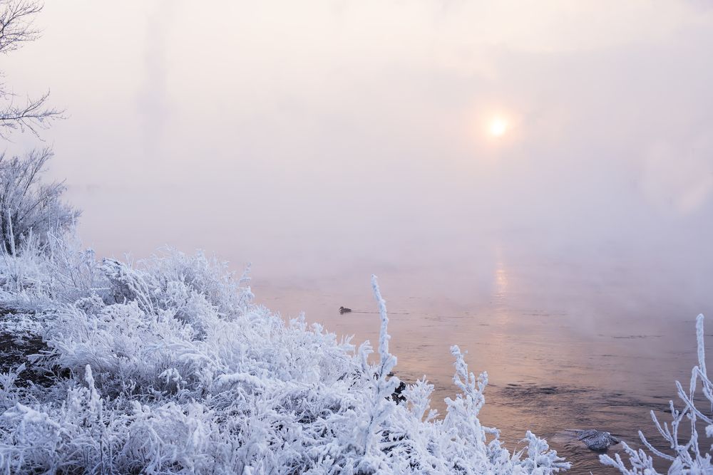 Первые морозы