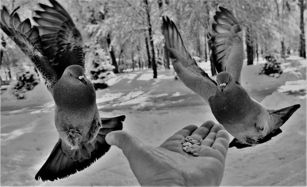 КТО БЫСТРЕЕ