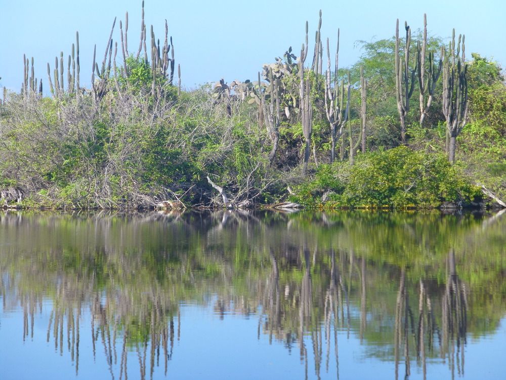 PAISAJE ISLA ISABELA GALAPAGOS