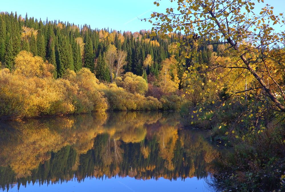 Золотая осень