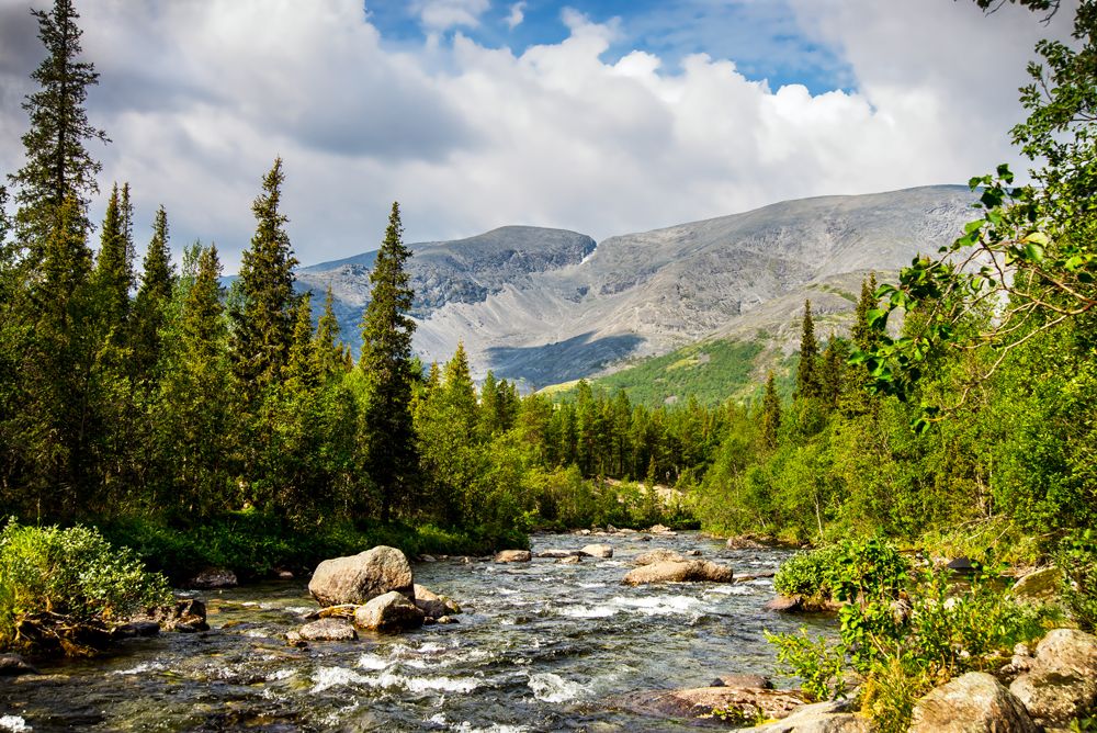 Река Кунийок