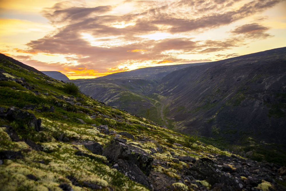 Полярная ночь в июле