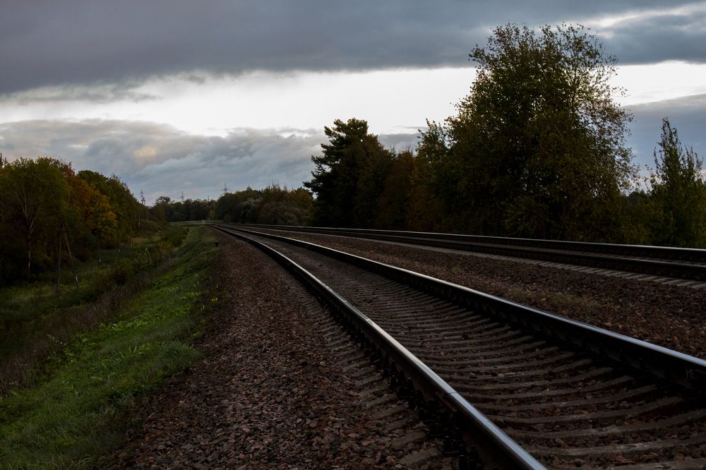 Мысли в пути