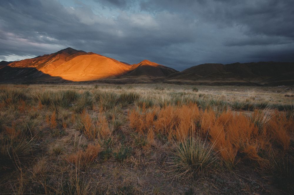 В долине Алаш